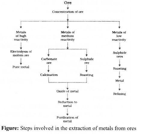 case study ch 3 science class 10