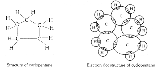 NCERT Solutions for Class 10 Science Chapter 4 Carbon and its Compounds Intext Questions p68 q3