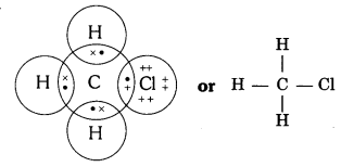 NCERT Solutions for Class 10 Science Chapter 4 Textbook Chapter End Questions Q4