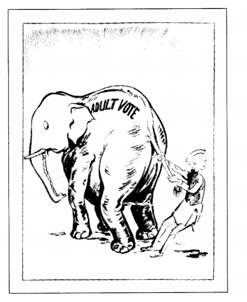 NCERT Solutions for Class 11 Political Science Chapter 3 Election and Representation - Learn CBSE NCERT Solutions for Class 11 Political Science Chapter 3 Election and Representation - Learn CBSE