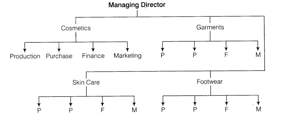 NCERT Solutions for Class 12 Business Studies Chapter 5 Organising Q6