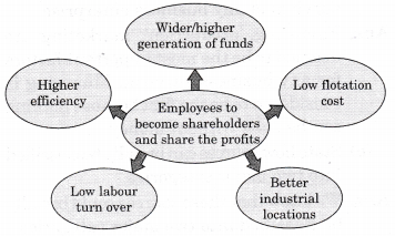 NCERT Solutions for Class 12 Entrepreneurship Resource Mobilization Section-A SAQ Q5