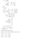 NCERT Solutions for Class 12 Maths Chapter 4 Determinants 16