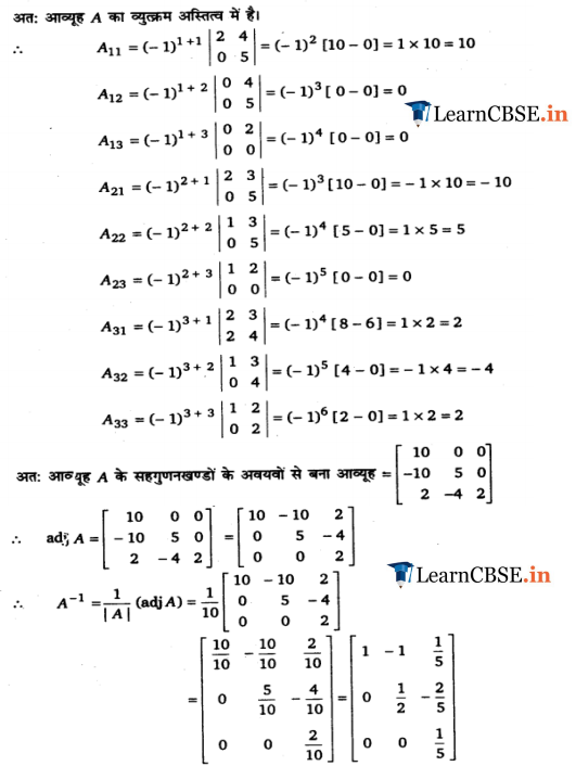 Class 12 Maths Chapter 4 Exercise 4.5 Inverse and adjoint of matrix