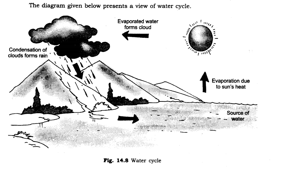 NCERT Solutions for Class 6 Science Chapter 14 Water SAQ Q3