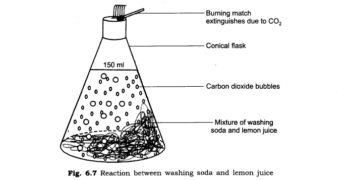 NCERT Solutions for Class 6 Science Chapter 6 Changes Around Us SAQ Q2