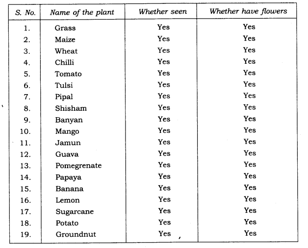 NCERT Solutions for Class 6 Science Chapter 7 Getting to Know Plants Q10