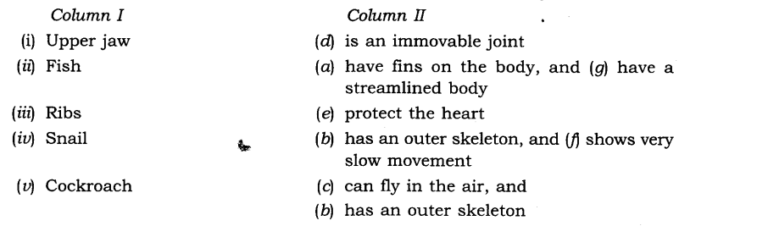 NCERT Class 6 Science Chapter 8 Question Answer A Journey through ...