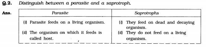 NCERT Solutions for Class 7 Science Chapter 1 Nutrition in Plants Q2