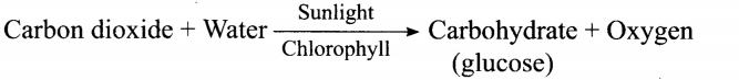 NCERT Solutions for Class 7 Science Chapter 1 Nutrition in Plants Q4