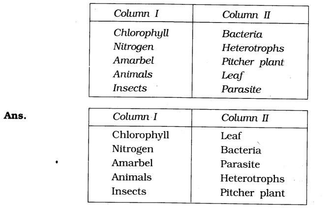 NCERT Solutions for Class 7 Science Chapter 1 Nutrition in Plants