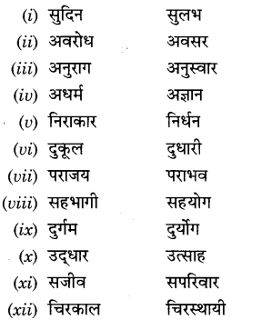  Class 9 Hindi A व्याकरण उपसर्ग 19 Educational Hand NCERT CBSE