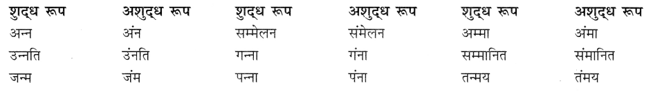 CBSE Class 9 Hindi B व्याकरण अनुस्वार एवं अनुनासिक 5