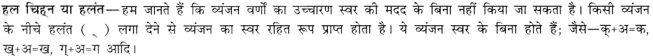 CBSE Class 9 Hindi B व्याकरण वर्ण-विच्छेद 3