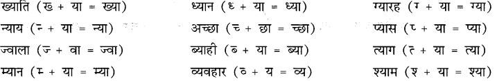 CBSE Class 9 Hindi B व्याकरण वर्ण-विच्छेद 9