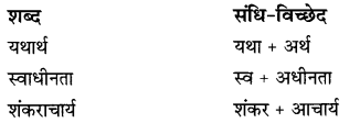 CBSE Class 9 Hindi B व्याकरण संधि 20