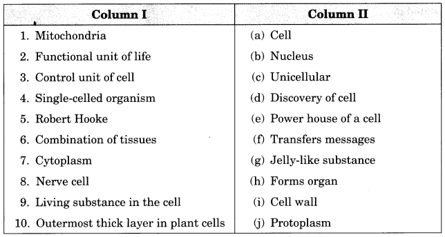 Cell Structure and Functions Class 8 Extra Questions Science Chapter 8 1