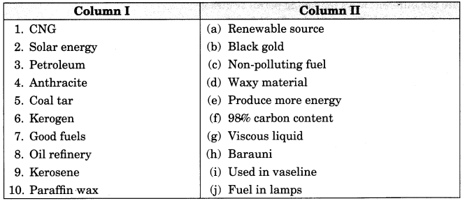 Coal and Petroleum Class 8 Extra Questions Science Chapter 5 2