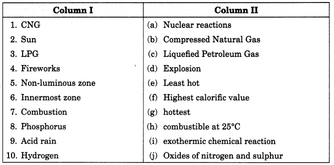 Combustion and Flame Class 8 Extra Questions Science Chapter 6 3