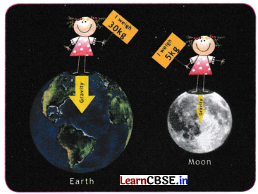 Exploring Forces Class 8 Questions and Answers Science Chapter 5 Q9