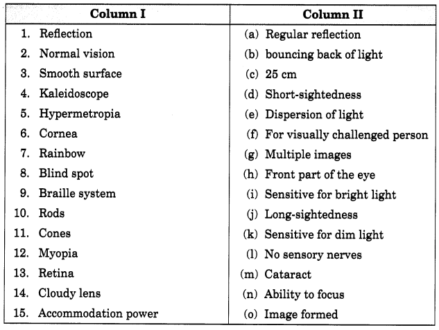 Light Class 8 Extra Questions Science Chapter 16 7