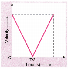 Motion Class 9 Extra Questions Science Chapter 8 3