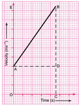 Motion Class 9 Extra Questions Science Chapter 8 9