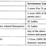 NCERT Solutions For Class 11 Business Studies Small Business SAQ Q2