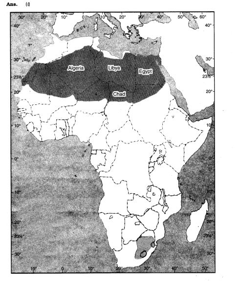 NCERT Solutions For Class 7 Geography Social Science Chapter 10 Life in the Deserts Q5