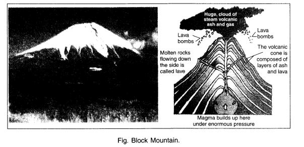 NCERT Solutions for Class 6 Social Science Geography Chapter 6 Major Landforms of the Earth LAQ Q2.1