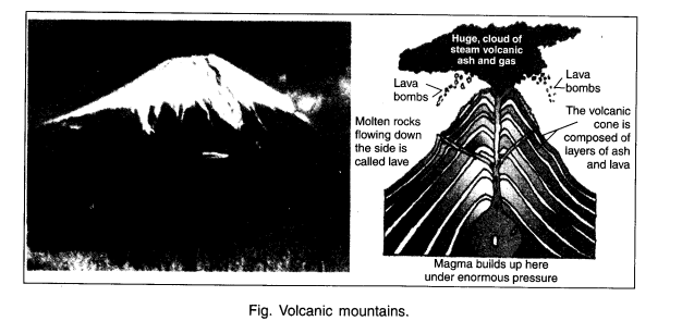 NCERT Solutions for Class 6 Social Science Geography Chapter 6 Major Landforms of the Earth LAQ Q2.2