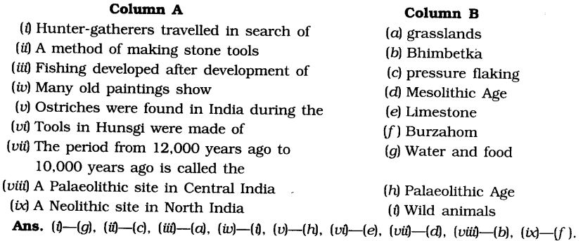 NCERT Solutions for Class 6th Social Science History Chapter 2 On The Trial of the Earliest People Matching Skills
