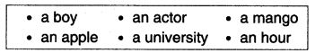 NCERT Solutions for Class 7th English Chapter 4 The Ashes that Made Trees Bloom Q5