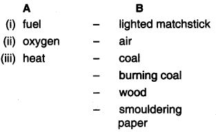 NCERT Solutions for Class 7th English Chapter 8 Fire Friend and Foe Working with Text Q3