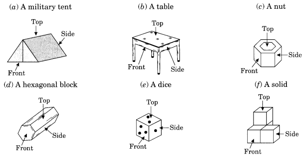 NCERT Solutions for Class 8 Maths Chapter 10 Visualising Solid Shapes Ex 10.1 Q4