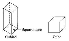 NCERT Solutions for Class 8 Maths Chapter 10 Visualising Solid Shapes Ex 10.3 Q5
