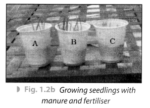 NCERT Solutions for Class 8 Science Chapter 1 Crop Production and Management Activity 2.1