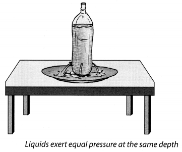 NCERT Solutions for Class 8 Science Chapter 11 Force and Pressure Activity 10
