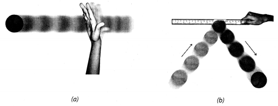 NCERT Solutions for Class 8 Science Chapter 11 Force and Pressure Activity 4