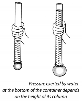 NCERT Solutions for Class 8 Science Chapter 11 Force and Pressure Activity 8