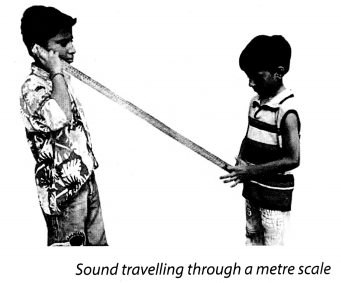 NCERT Solutions for Class 8 Science Chapter 13 Sound Activity 9