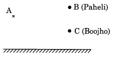 NCERT Solutions for Class 8 Science Chapter 16 Light Q17