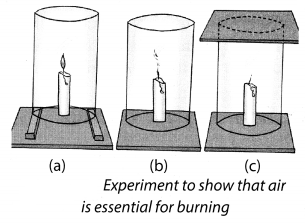 NCERT Solutions for Class 8 Science Chapter 6 Combustion and Flame Activity 2