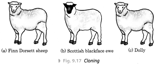 Reproduction in Animals Class 8 Extra Questions Science Chapter 9 5