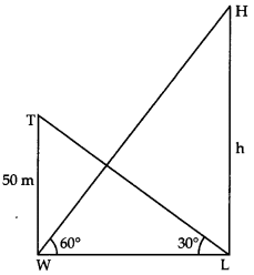 Some Applications of Trigonometry Class 10 Extra Questions Maths Chapter 9 with Solutions 10