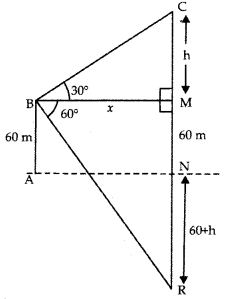 Some Applications of Trigonometry Class 10 Extra Questions Maths Chapter 9 with Solutions 18
