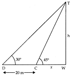 Some Applications of Trigonometry Class 10 Extra Questions Maths Chapter 9 with Solutions 20