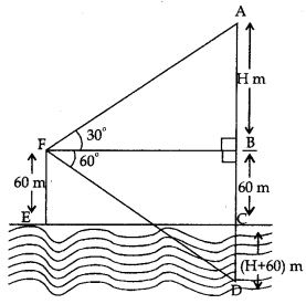 Some Applications of Trigonometry Class 10 Extra Questions Maths Chapter 9 with Solutions 26