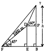 Some Applications of Trigonometry Class 10 Extra Questions Maths Chapter 9 with Solutions 30