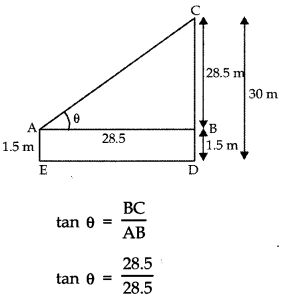 Some Applications of Trigonometry Class 10 Extra Questions Maths Chapter 9 with Solutions 6